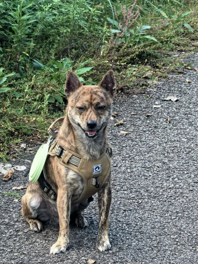 寧波徒步 | 山海徑，烽火台，風車路