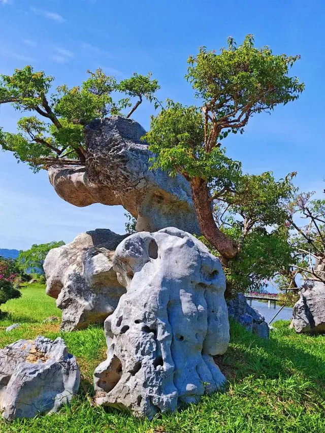 南灣花鎮，一定要來！！！