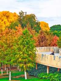 在武漢！99%人都不知道的紅杉公園，免費