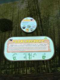 神農架 / 大熊貓館