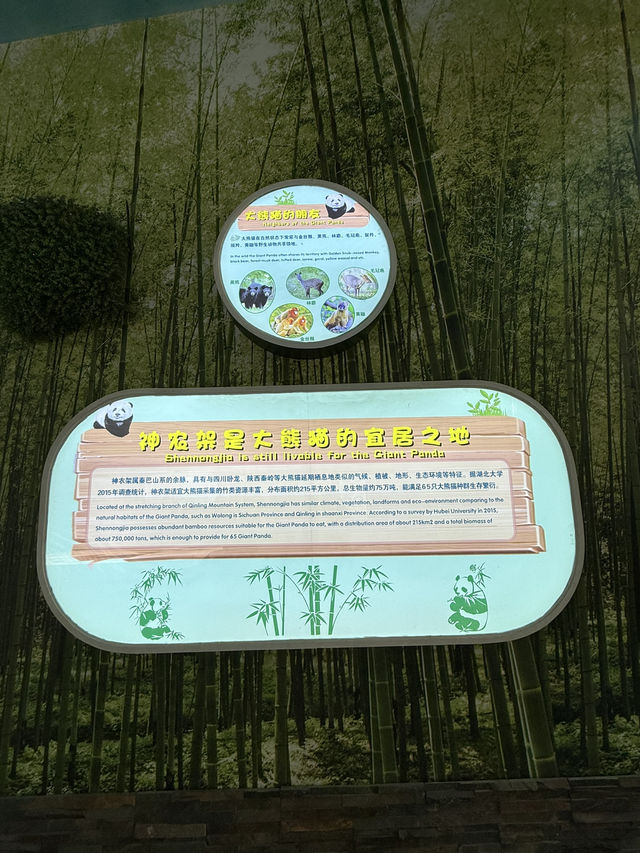 神農架 / 大熊貓館 神農架 / 大熊貓館