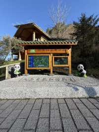 神農架 / 大熊貓館