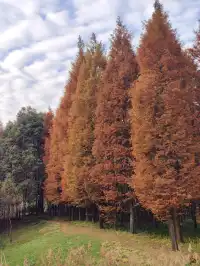 貴陽初冬·唯一想去無數次的公園