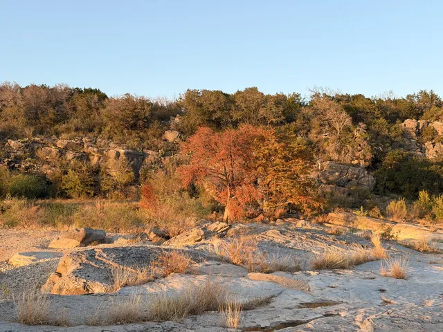 奧斯汀小九寨賦