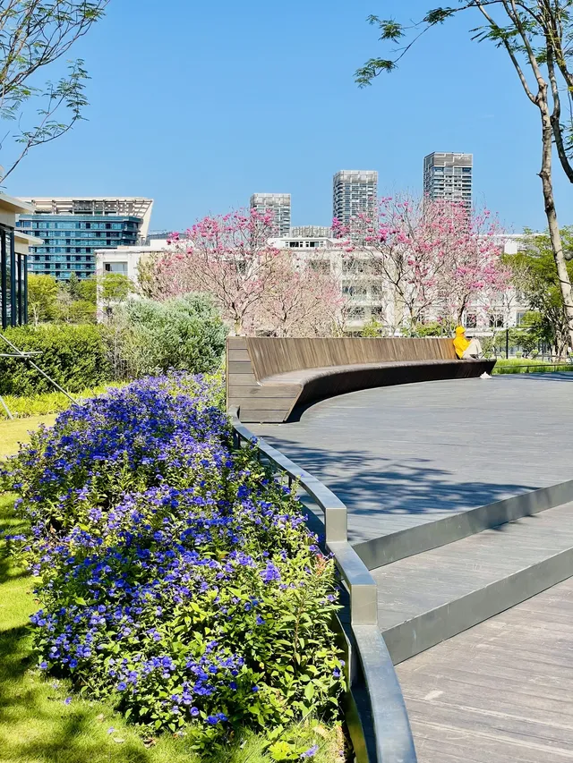 深圳又多一個週末遛娃、海邊徒步的好去處 深圳又多一個週末遛娃、海邊徒步的好去處