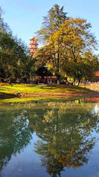 斑斕調色盤,律動生活詩--武漢解放公園秋色