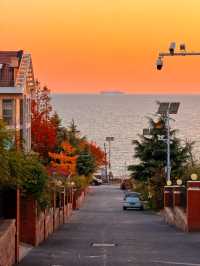 青島——《海街日記》