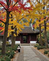 建築與自然的詩意碰撞|踏千年城垣,尋江南福地,感受古邑風雅