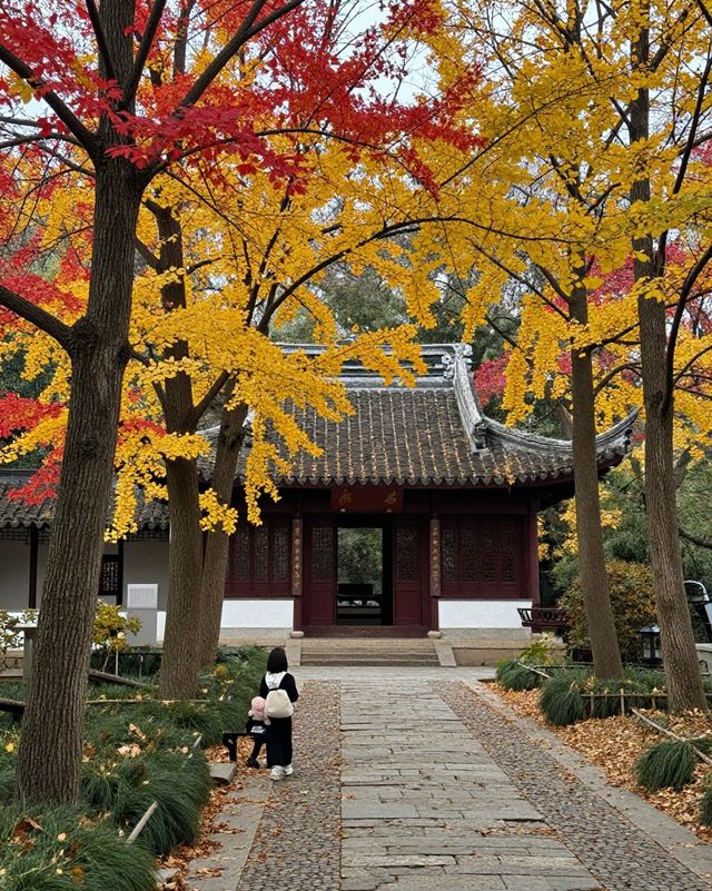 建築與自然的詩意碰撞|踏千年城垣,尋江南福地,感受古邑風雅 建築與自然的詩意碰撞|踏千年城垣,尋江南福地,感受古邑風雅