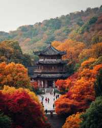 建築與自然的詩意碰撞|踏千年城垣,尋江南福地,感受古邑風雅