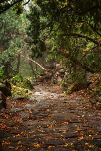 初冬濟寧石門山美到心顫