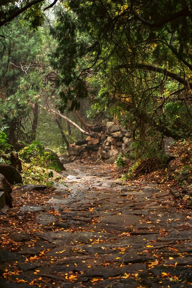 初冬濟寧石門山美到心顫