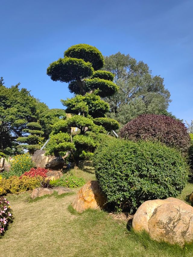 南寧南湖|闖入綠野仙蹤城市綠肺漫步指南! 必去理由 南寧人的後花園!城市中心的天然氧吧 南寧南湖|闖入綠野仙蹤城市綠肺漫步指南! 必去理由 南寧人的後花園!城市中心的天然氧吧