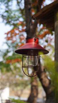 山東日照白鷺灣小鎮|闖入山東的“小阿勒泰”!