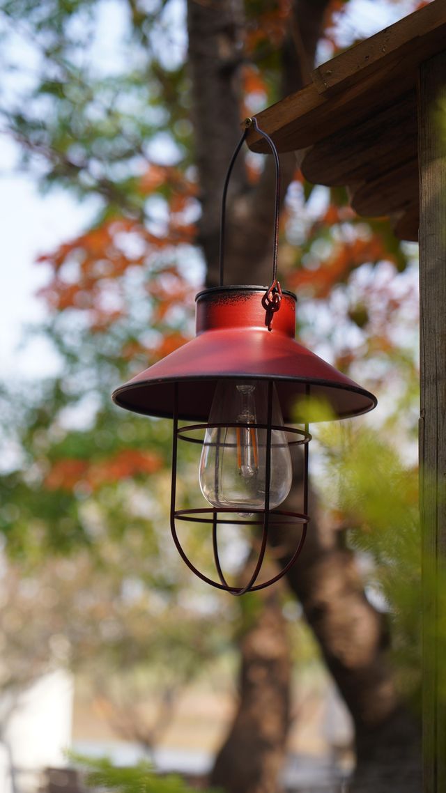 山東日照白鷺灣小鎮|闖入山東的“小阿勒泰”! 山東日照白鷺灣小鎮|闖入山東的“小阿勒泰”!