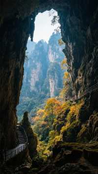 帶上家人來張家界四天三晚，玩轉阿凡達仙境！