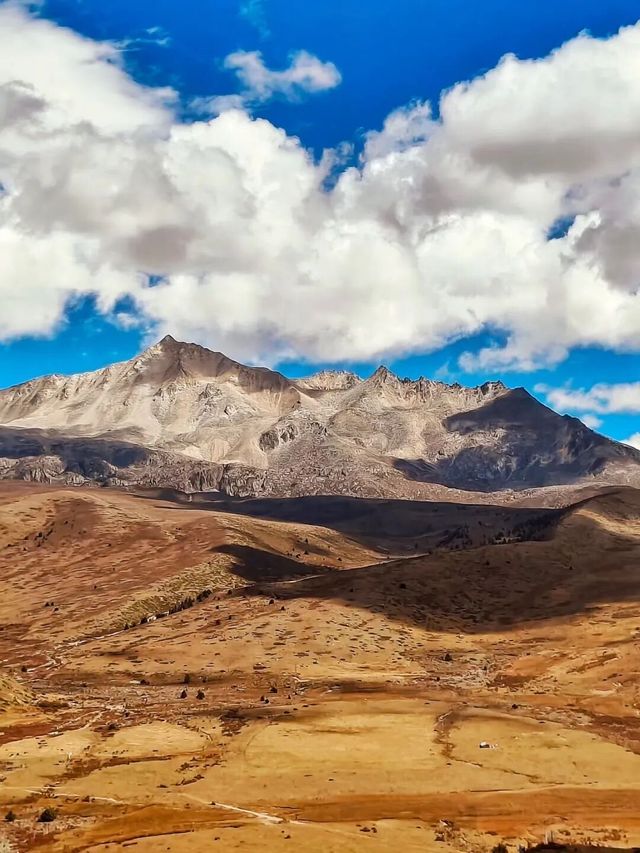 歡迎來塔公草原遊玩