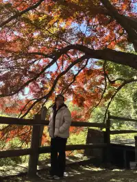 莫干山的正確打開方式