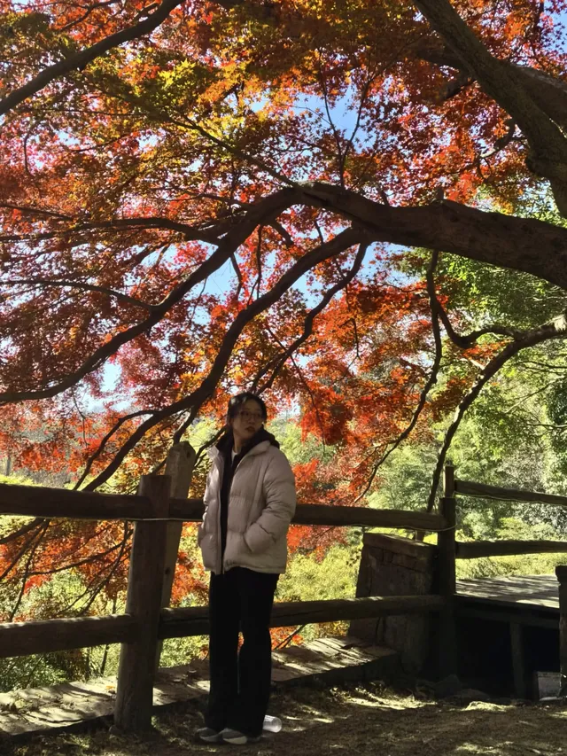 莫干山的正確打開方式 莫干山的正確打開方式