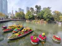 武漢賞菊全攻略!第一次去的你必看