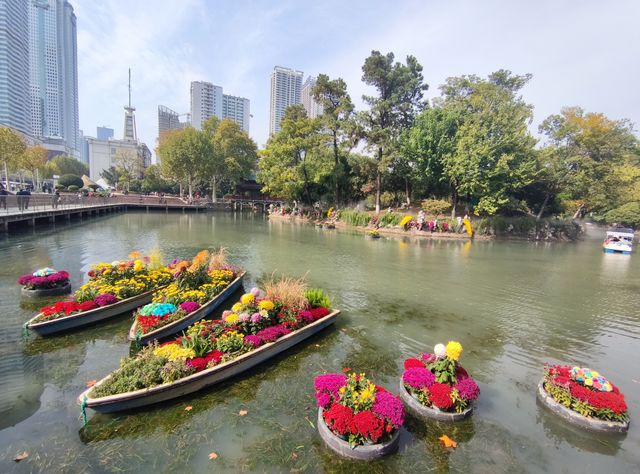 武漢賞菊全攻略!第一次去的你必看 武漢賞菊全攻略!第一次去的你必看