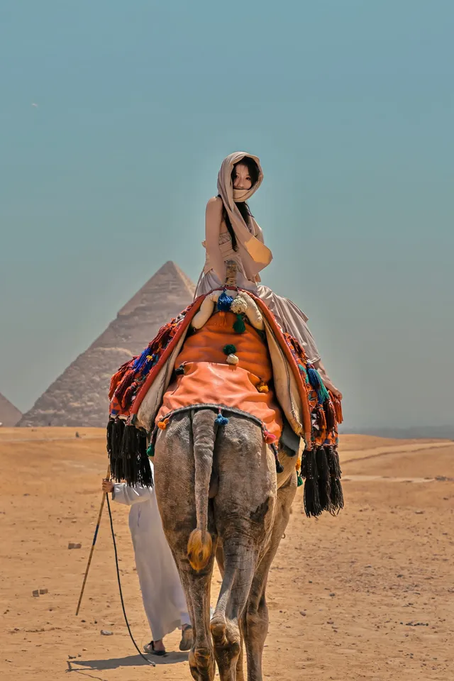 埃及5日暴走攻略千年文明與市井煙火全拿下