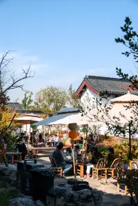 亭林公園楓葉紅透啦