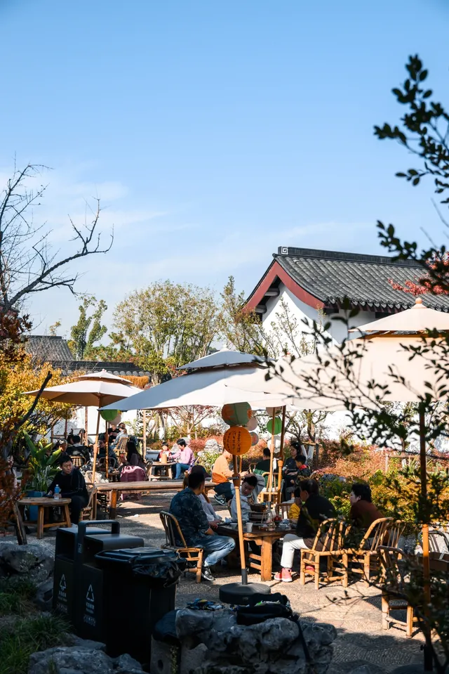 亭林公園楓葉紅透啦