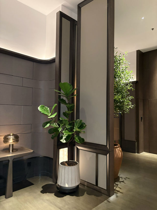 瀋陽家庭遊酒店天花板帶娃帶長輩住這幸福感爆棚