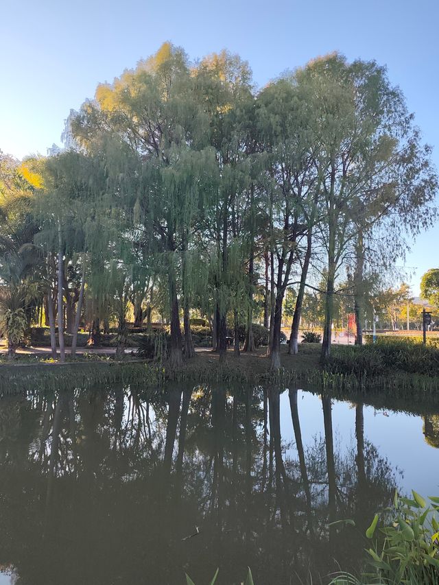 深秋漫步普洱,邂逅人間絕美湖畔秘境 深秋漫步普洱,邂逅人間絕美湖畔秘境