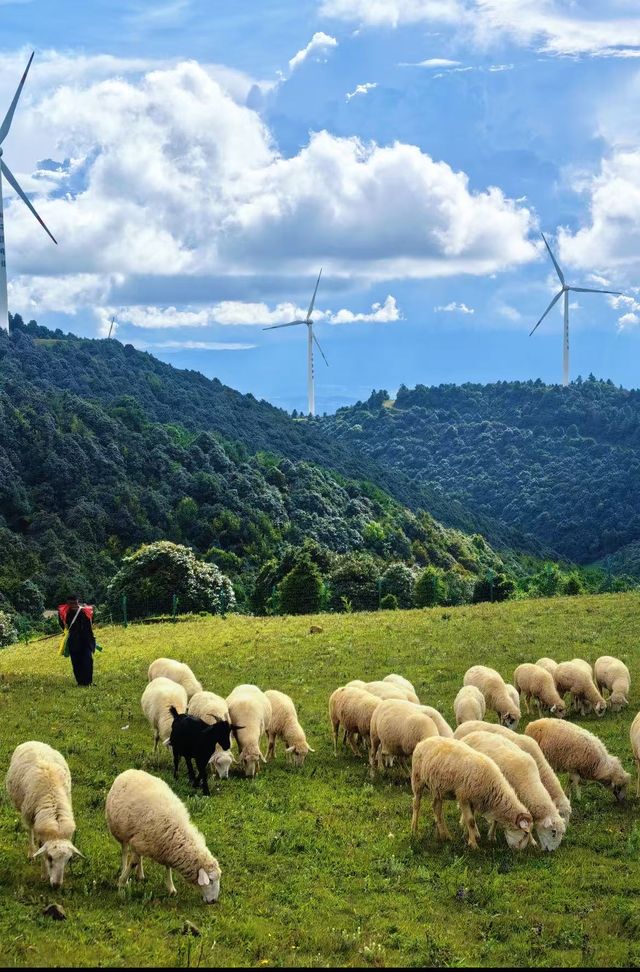 大理風車山!闖進童話牧場 大理風車山!闖進童話牧場