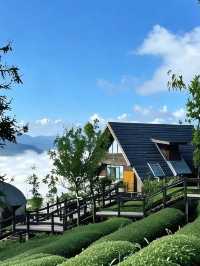 普洱躺進雲海裡!茶山木屋太治癒了