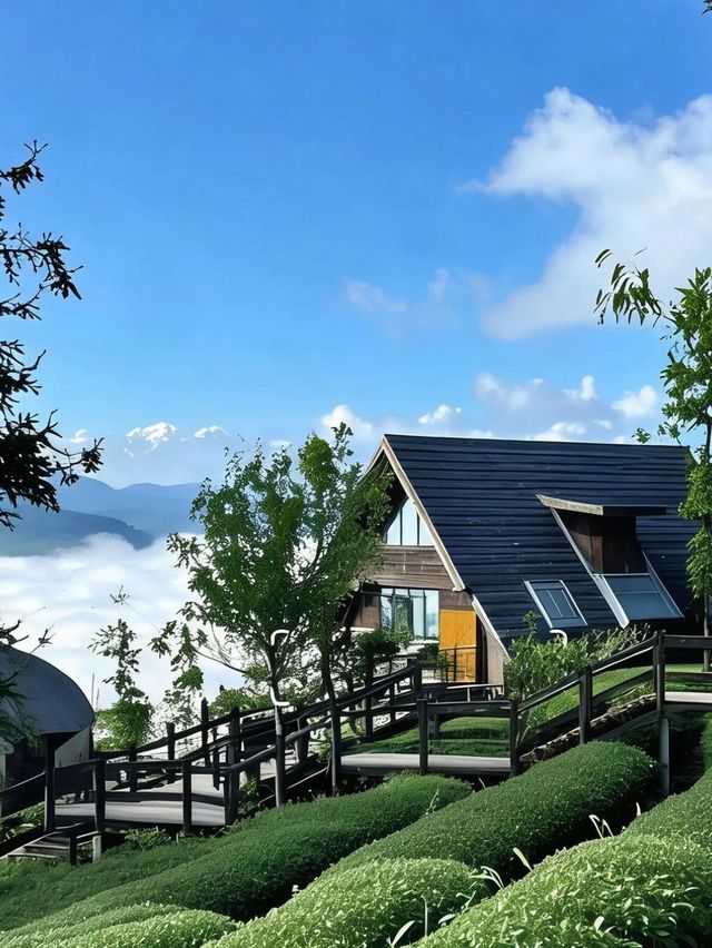 普洱躺進雲海裡!茶山木屋太治癒了 普洱躺進雲海裡!茶山木屋太治癒了