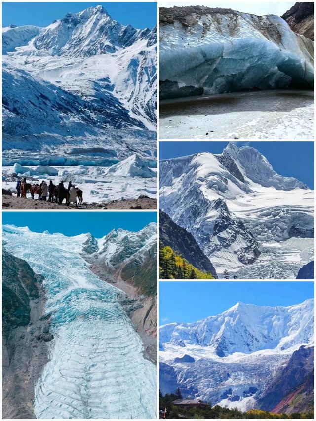 西藏林芝深度遊:邂逅雪山桃花與森林的浪漫 西藏林芝深度遊:邂逅雪山桃花與森林的浪漫