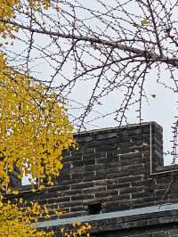 西安城牆賞秋好去處