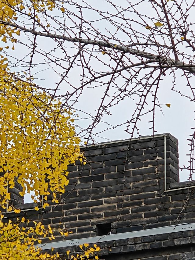 西安城牆賞秋好去處 西安城牆賞秋好去處