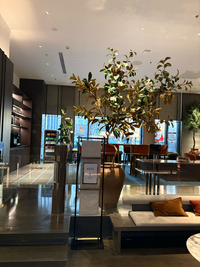 瀋陽家庭遊天花板豪澤希芮迪酒店體驗感拉滿! 瀋陽家庭遊天花板豪澤希芮迪酒店體驗感拉滿!