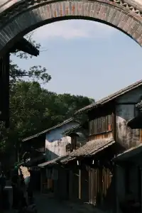 🪾千年銀杏，恰逢濮院橙黃橘綠時