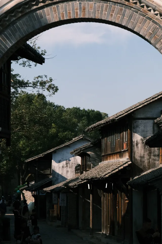 🪾千年銀杏，恰逢濮院橙黃橘綠時