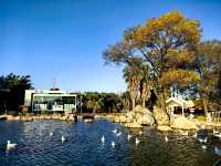 這個冬天就來大觀樓欣賞最美冬景吧