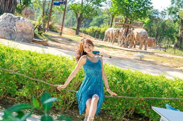 清遠長隆森林王國跟拍竟然用不了300