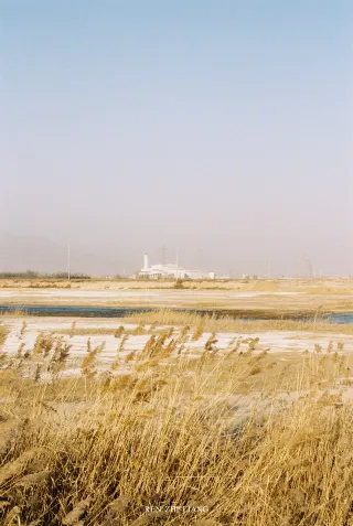 A roll of film for the migratory birds at Beihai Stream｜Portra400 