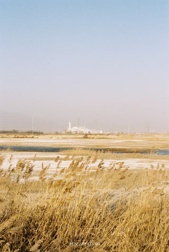 給北海流的候鳥拍組膠片|Portra400 給北海流的候鳥拍組膠片|Portra400