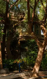 廈門拍照|在陽光鋪滿的信義路看發光的秋天