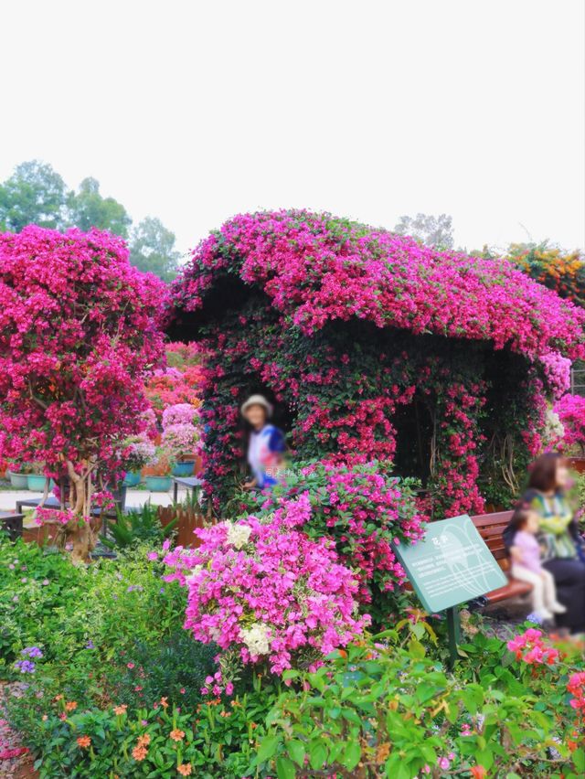 這裡風景獨好 這裡風景獨好