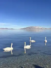 想跟賽里木湖說謝謝🫧人生照片有了！