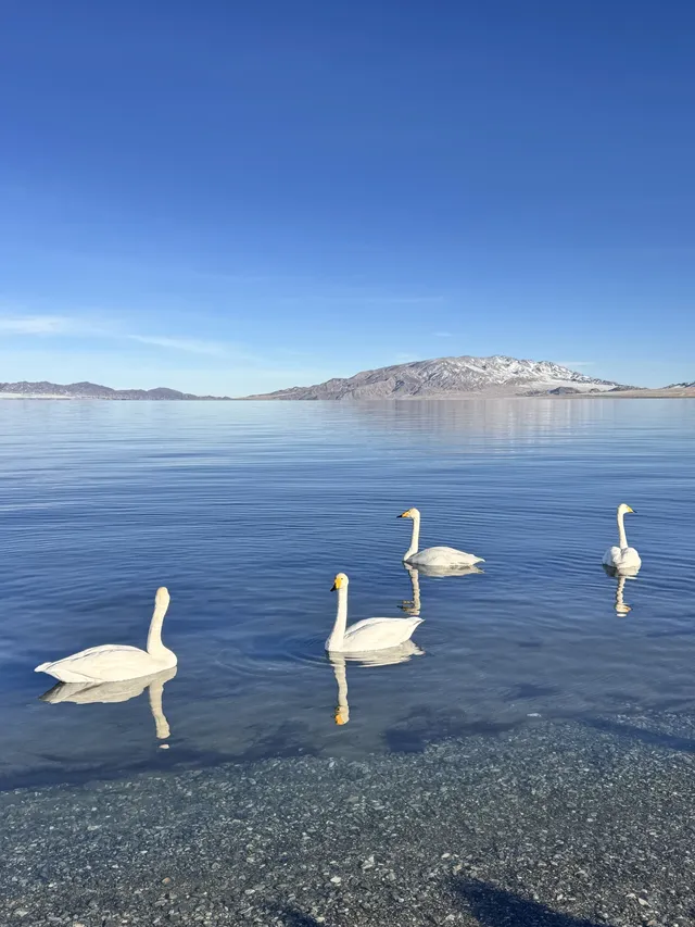 想跟賽里木湖說謝謝🫧人生照片有了！