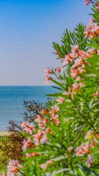 0元出片 北海老街藏不住的百年煙火與浪漫