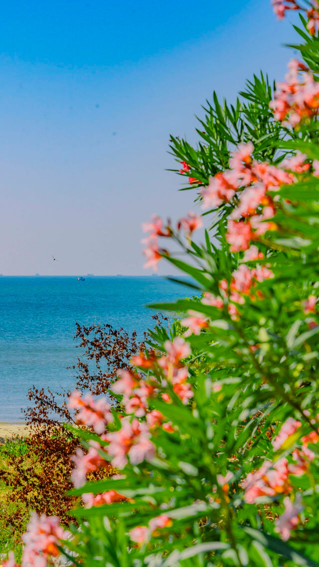 0元出片 北海老街藏不住的百年煙火與浪漫 0元出片 北海老街藏不住的百年煙火與浪漫