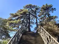 三清山媲美黃山